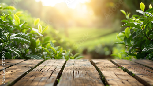 The empty wooden table top with blur background of tea plantation. Exuberant image.