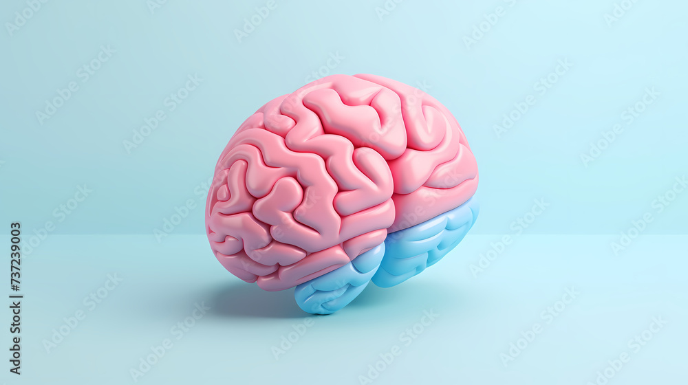 Brain structure and function, science and health Brain structure and function, science and health