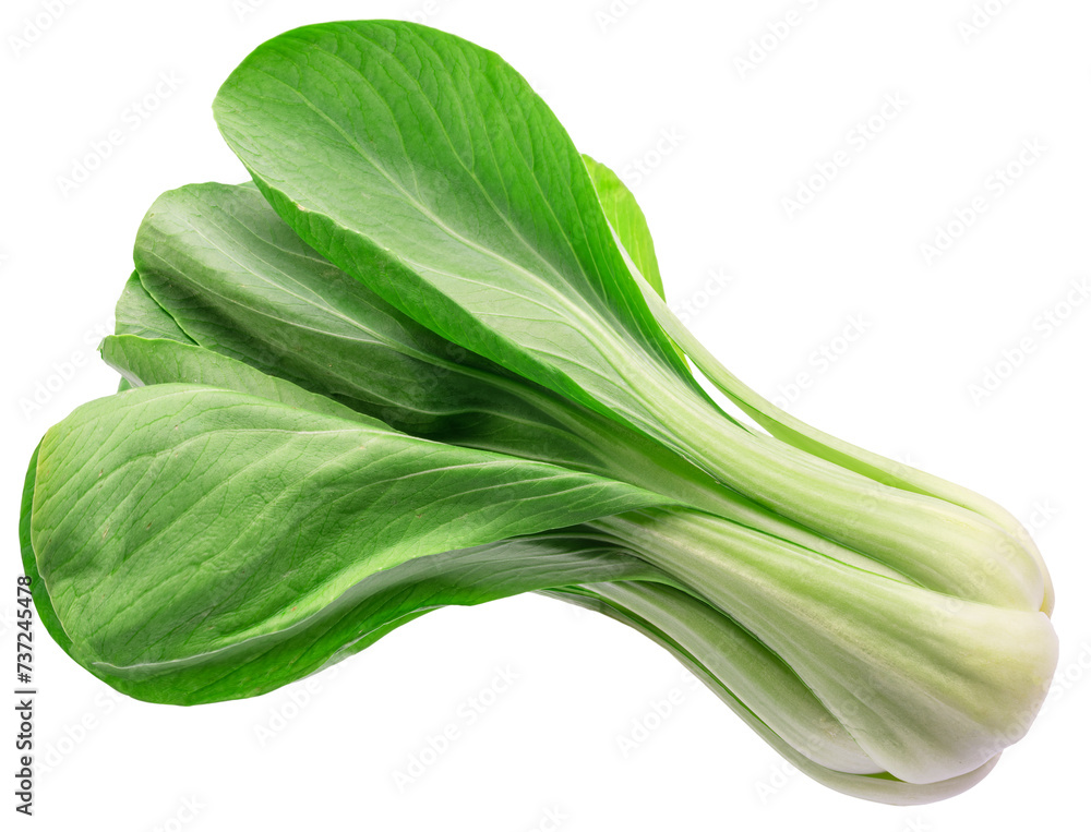 Bok choy or chinese cabbage isolated on white background. File contains clipping path. - obrazy, fototapety, plakaty 