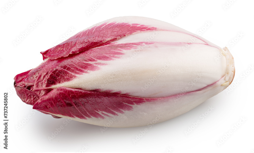 Fototapeta premium Red endive on white background. File contains clipping path.
