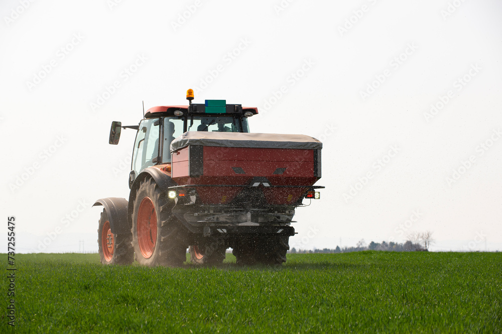 Fototapeta premium Tractor spreading artificial fertilizers in wheat field