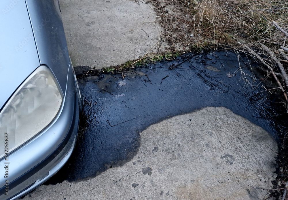 oil leakage from the engine due to a faulty engine block seal and a cracked oil pan due to a