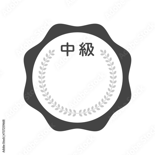 シンプルな中級レベルのバッジのアイコン - 中堅･ふつう･ミドルクラスのデザイン素材
