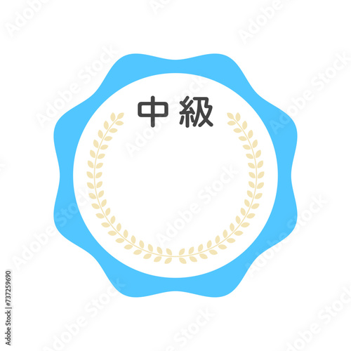 シンプルな中級レベルのバッジのアイコン - 中堅･ふつう･ミドルクラスのデザイン素材
