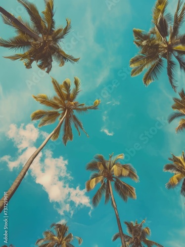 Palm trees under a clear blue sky, bottom-up image shows palm trees and sky in a summer atmosphere. Travel, summer, vacation © Stefan95