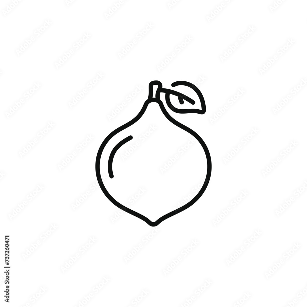 Fig line icon isolated on transparent background Fig line icon isolated on transparent background