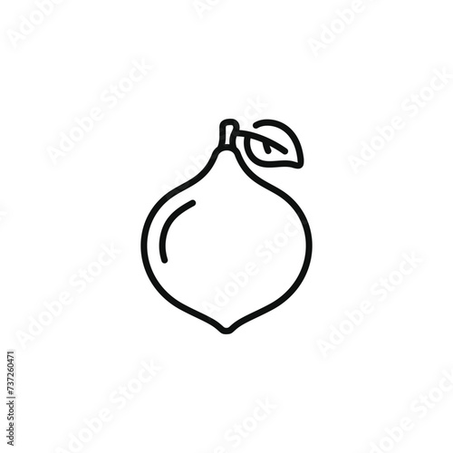 Fig line icon isolated on transparent background