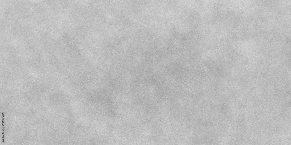 Fototapeta premium Abstract dust particle and dust grain texture on white background. Grunge white and light gray texture, Vintage blurred scratched grunge on isolated background. Light gray snow pattern, marble textrue