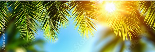 Sunny Tropical Beach Vacation, Green Palm Leaves and Blue Sky, Exotic Island Paradise for Holiday Relaxation