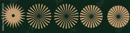 Vintage sunburst collection. Bursting golden sun rays. Fireworks. Logotype or lettering design element. Radial sunset beams. Vector illustration.