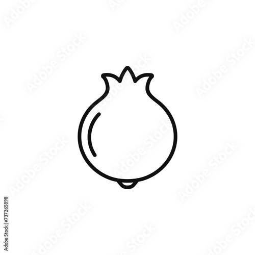 Pomegranate line icon isolated on transparent background