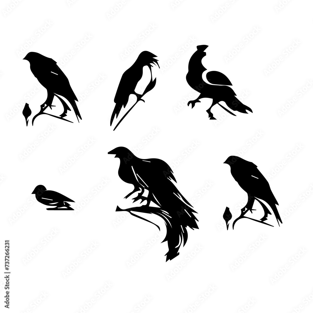 Set of black bird silhouettes black and white Vector elements for design. Set of black bird silhouettes black and white Vector elements for design.