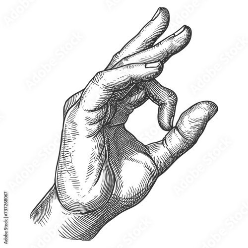hand gesture in old engraving style for drawing reference