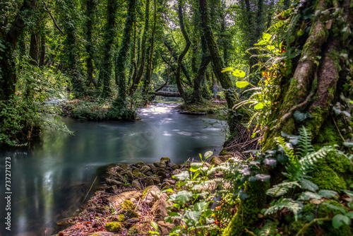 Turquoise color of water in the summer on the river Janj photo