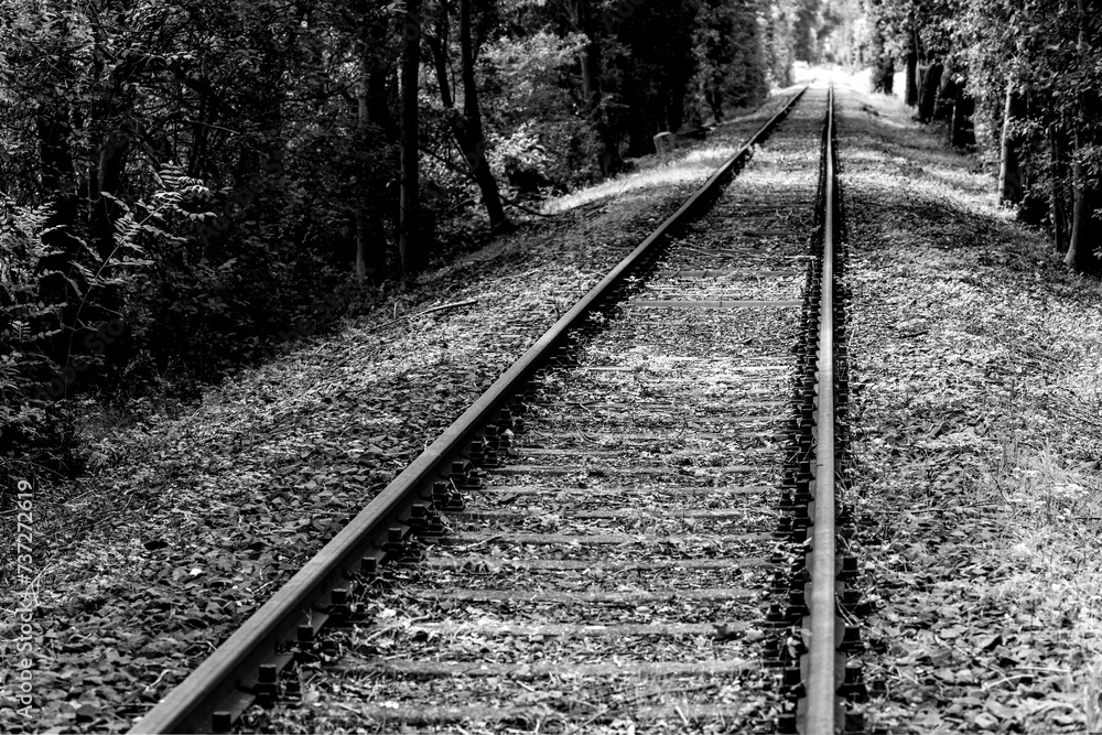 Straight single railway track with at a branch line in a forest near Paderborn Germany, with tall trees, rusty steel thresholds and screws. Lost forgotten place, black and white vintage grey scale.