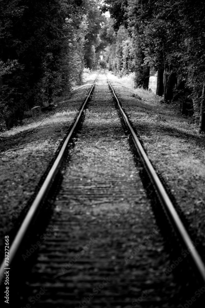Straight railway track with symmetrical perspective at a branch line in a forest near Paderborn Germany, with tall trees, rusty steel thresholds and screws. Black and white vintage grey scale. Straight railway track with symmetrical perspective at a branch line in a forest near Paderborn Germany, with tall trees, rusty steel thresholds and screws. Black and white vintage grey scale.