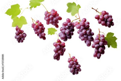 Wallpaper Mural Grapes with half slices falling or floating in the air with green leaves isolated on background, Fresh organic fruit with high vitamins and minerals. Torontodigital.ca