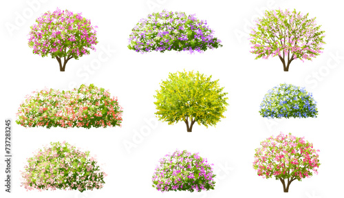 Vector watercolor blooming flower tree or forest side view isolated on white background for landscape and architecture drawing,elements for environment or and garden,shrub for section ,Set of floral,b