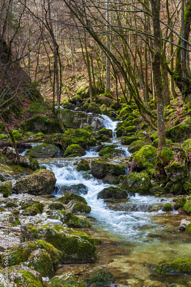 A waterfall in the mossy woods