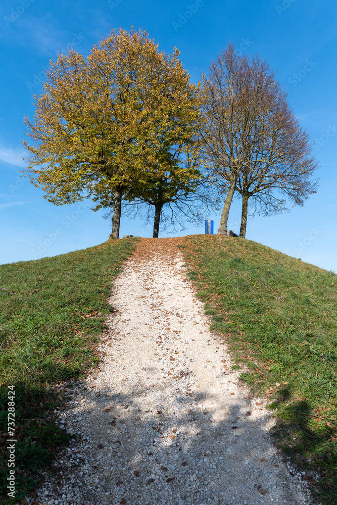 Weg auf einen Hügel mit herbstlichen Bäumen Weg auf einen Hügel mit herbstlichen Bäumen