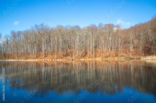 Late autumn forest trees reflected in water © sebi_2569