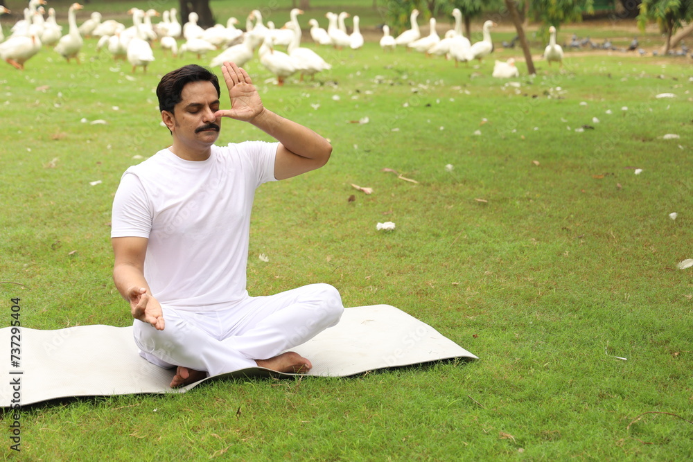 Fototapeta premium Happy Indian man doing yoga early morning in a tranquil environment surrounded with lush green serene atmosphere. high concentration level. Anulom vilom 