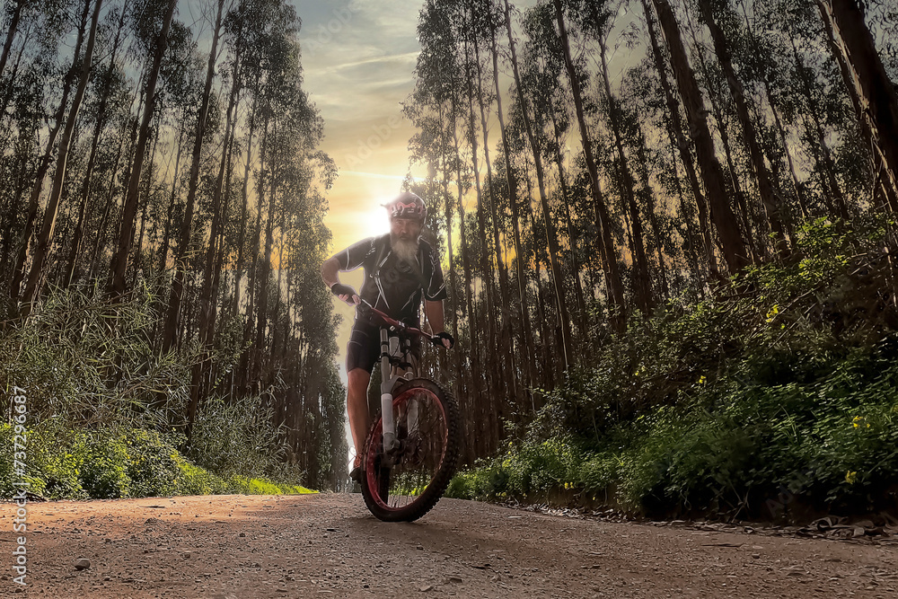 Cyclist Riding the Bike in the Forest