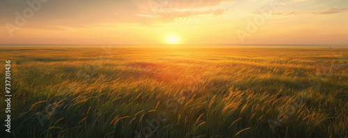 Open field at dawn, misty, dewy grass and sun peeking over horizon