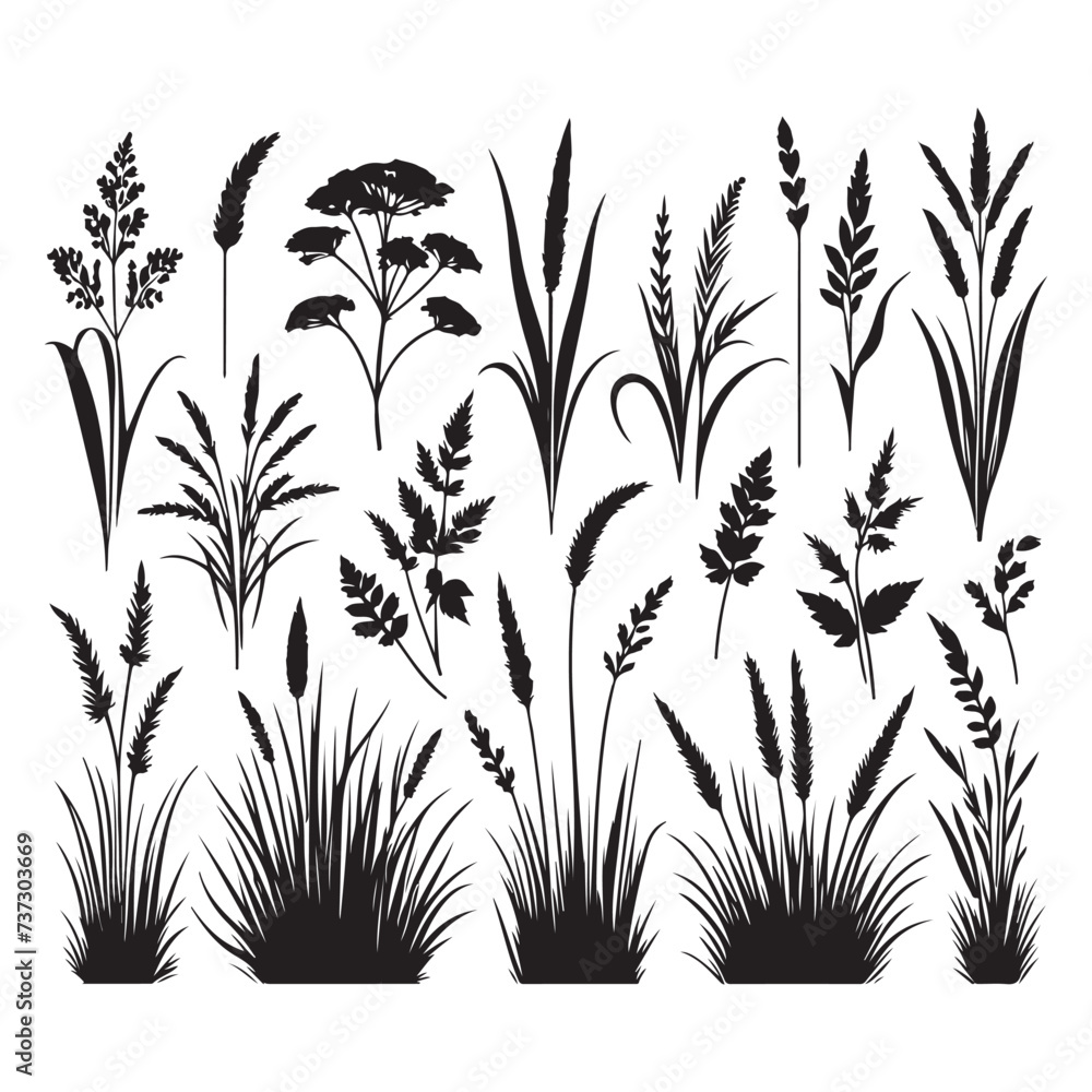 Naklejka premium Free Download vector tree illustration