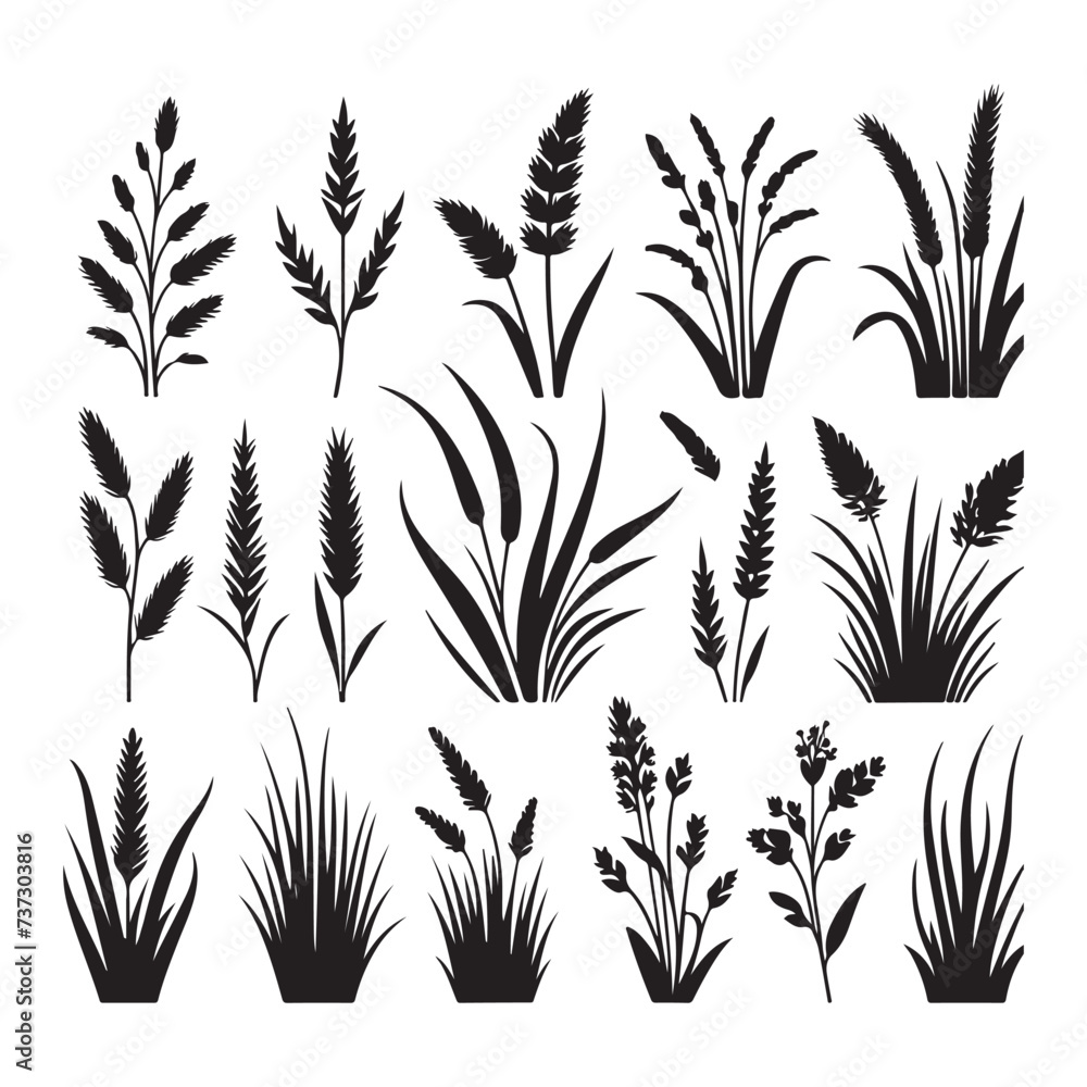 Naklejka premium Free Download vector tree illustration