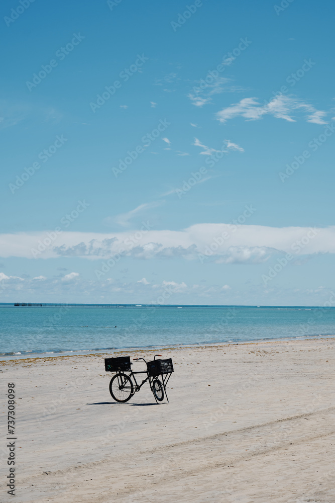 Fototapeta premium Bicycle