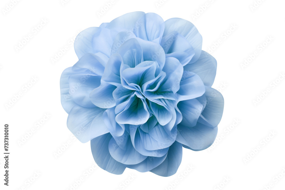 blue hydrangea flower blue hydrangea flower