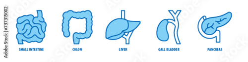Pancreas, Gall bladder, Liver, Colon, Small intestine editable stroke outline icons set isolated on white background flat vector illustration.