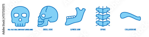 Collarbone, Spine, Lower jaw, Skull side, Full face skull (without lower jaw) editable stroke outline icons set isolated on white background flat vector illustration.