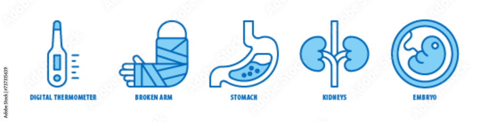 Embryo, Kidneys, Stomach, Broken Arm, Digital Thermometer editable stroke outline icons set isolated on white background flat vector illustration.
