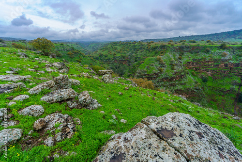 Yehudiya valley, the Golan Heights photo