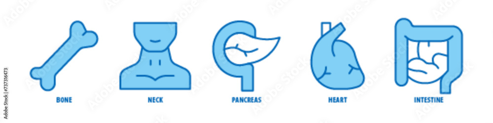 Intestine, Heart, Pancreas, Neck, Bone editable stroke outline icons set isolated on white background flat vector illustration. Intestine, Heart, Pancreas, Neck, Bone editable stroke outline icons set isolated on white background flat vector illustration.
