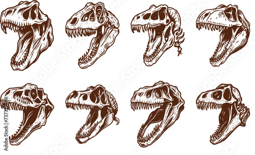 skull dinosaur vector Set of skull and hand-drawn vector
