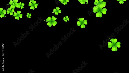 Falling shamrock blossoms. Four-leaf green clovers. Lucky charm leaves. Overlay. Black background. 25fps