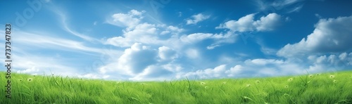 Green grass field under blue sky with white clouds