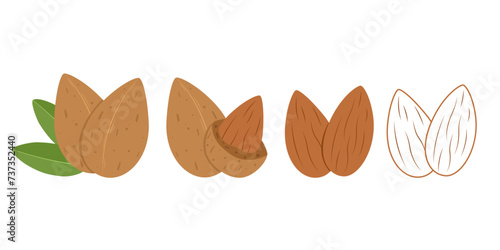 Almonds set with kernels and green leaf