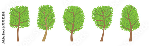 Green Forest Trees with Exuberant Tree Crown Vector Set