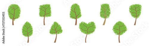 Green Forest Trees with Exuberant Tree Crown Vector Set
