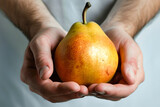A person is holding a ripe pear in their hands, showcasing its shape, color, and size.