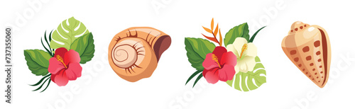 Spiral Conch and Sea Shell and Tropical Exotic Flora Vector Set