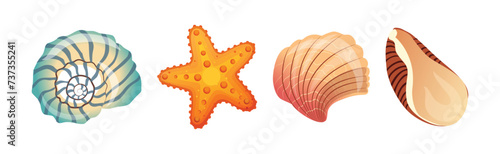 Spiral Conch and Sea Shell as Marine Element Vector Set