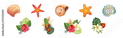 Spiral Conch and Sea Shell and Tropical Exotic Flora Vector Set