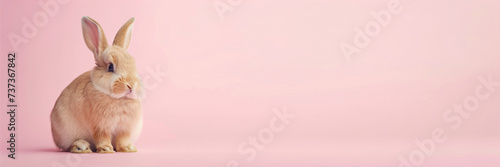 A banner with a picture of a cute rabbit. Pink background. Copy space.