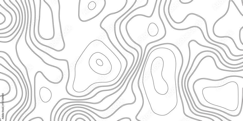 abstract pattern with lines. background of the topographic map. elevation contouring outline cartography texture. geographic abstract grid. futuristic wireframe landscape background