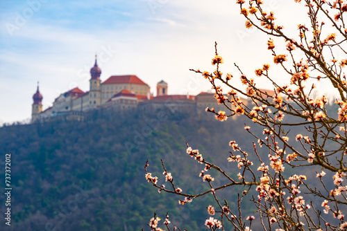 Famous historic Melk abbey and apricot branches in Wachau valley, Austria photo